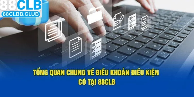 Tổng quan về điều khoản và điều kiện mà các thành viên cần biết